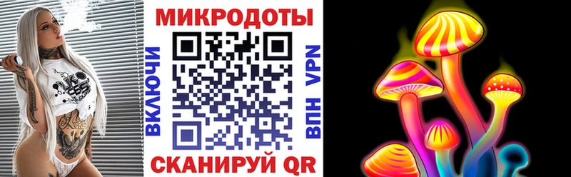 Купить закладки Тара Галлюциногенные грибы Psilocybe